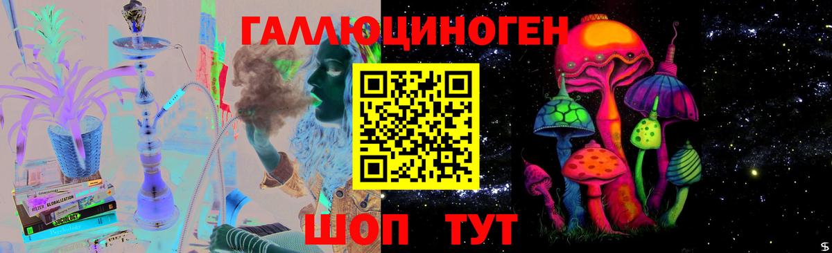 Псилоцибиновые грибы Psilocybe Кирово-Чепецк